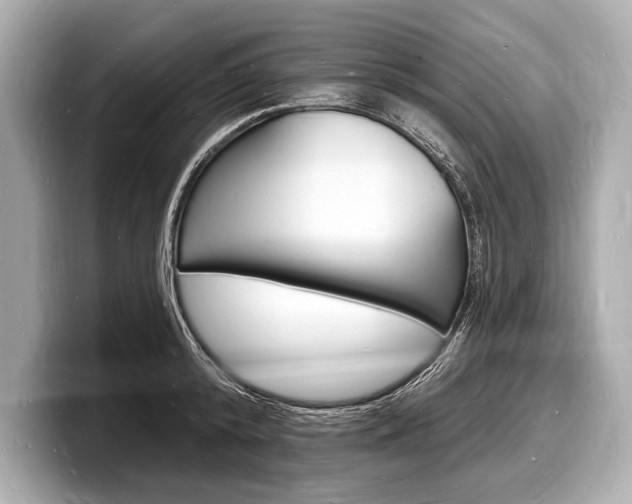 X0000098230800200804241200