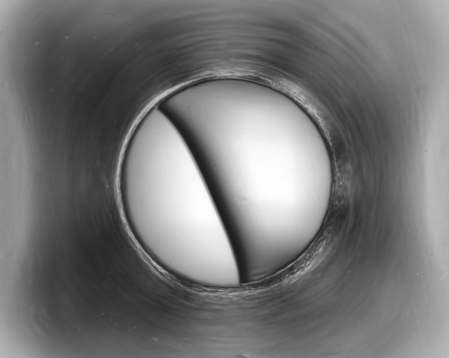 X0000098230803200804241200