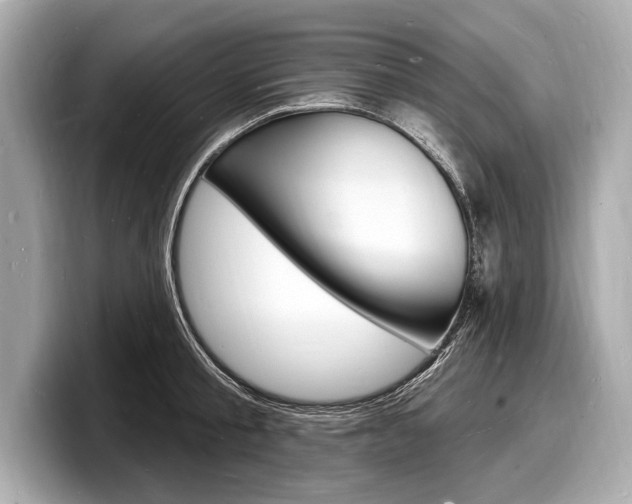 X0000098230805200804241200