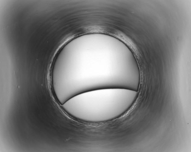X0000098230806200804241200