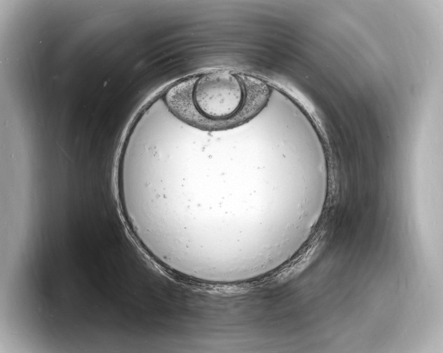 X0000098230807200804241200