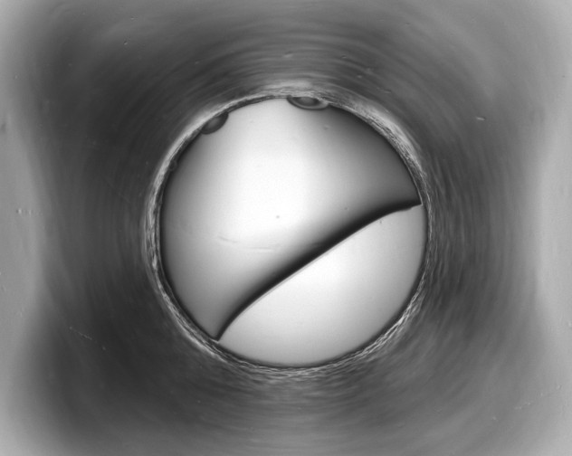 X0000098230808200804241200