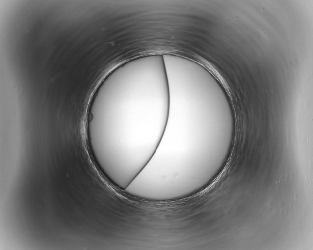 X0000098230810200804241200