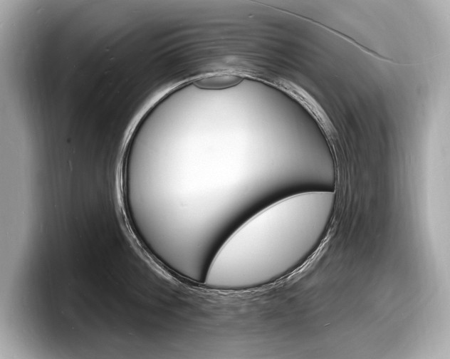 X0000098230812200804241200