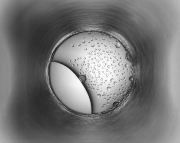 X0000098230814200804241200
