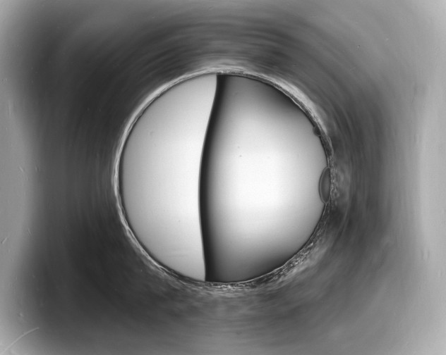 X0000098230815200804241200