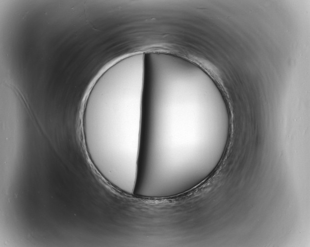 X0000098230816200804241200