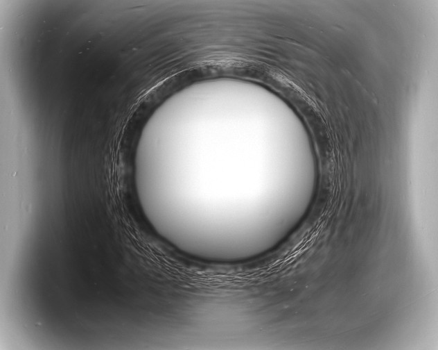 X0000098230822200804241159
