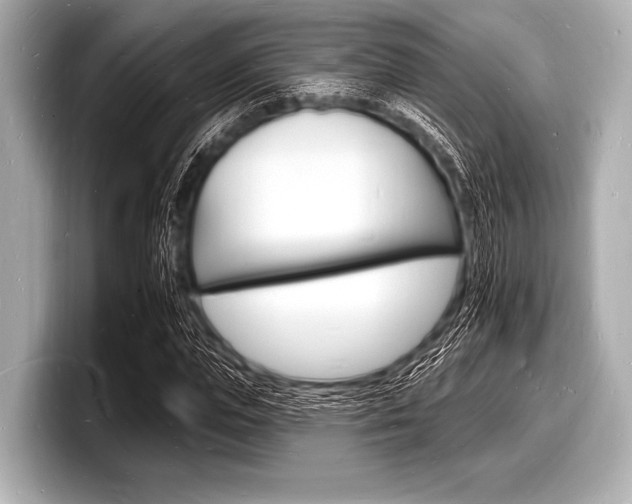 X0000098230823200804241159