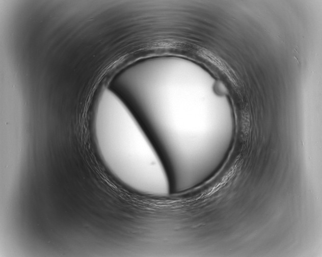X0000098230826200804241159