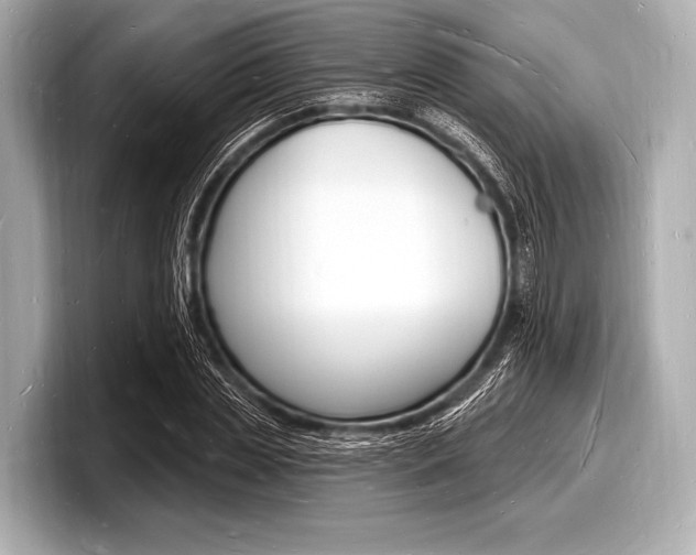 X0000098230829200804241159