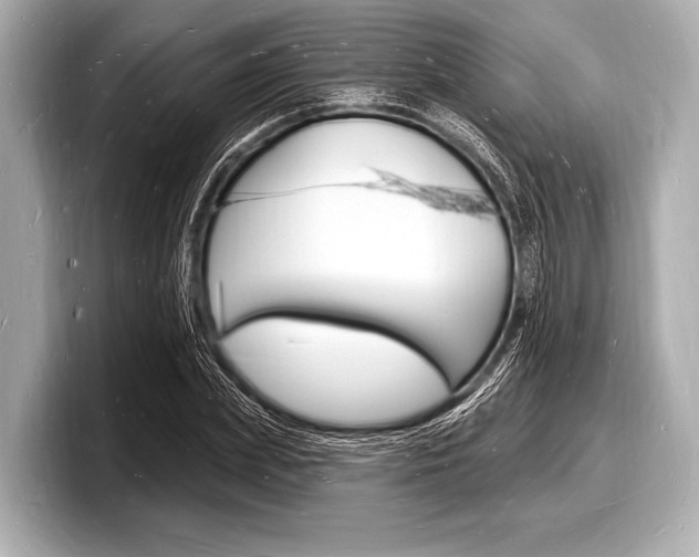 X0000098230831200804241159
