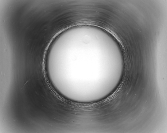 X0000098230832200804241159