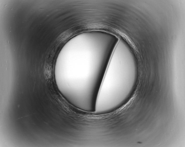 X0000098230833200804241159