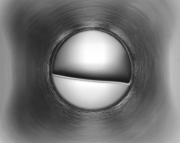 X0000098230834200804241159