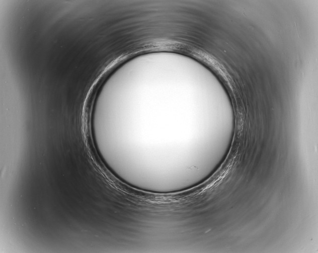 X0000098230835200804241159