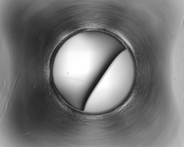 X0000098230837200804241159