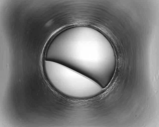 X0000098230838200804241159