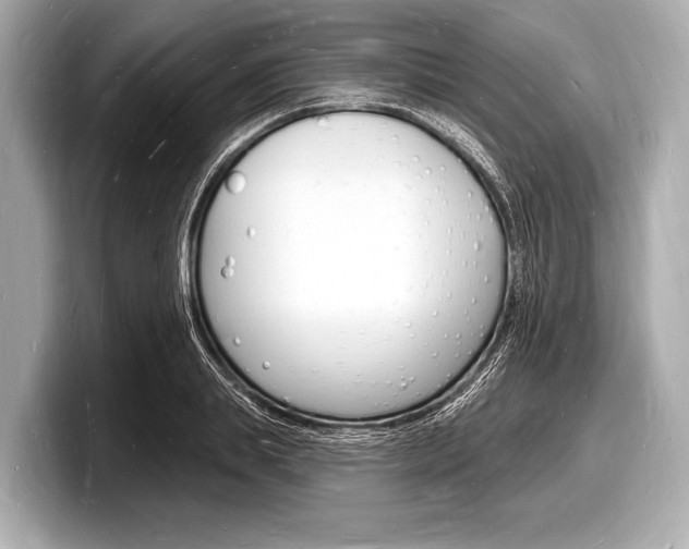 X0000098230839200804241159