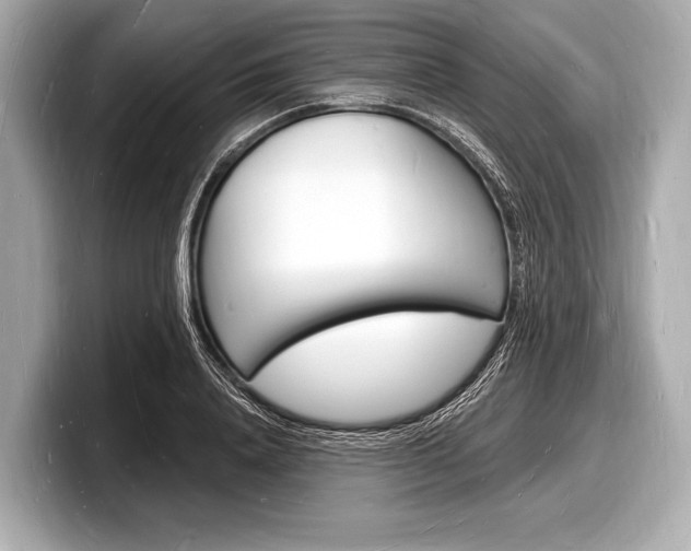 X0000098230840200804241159
