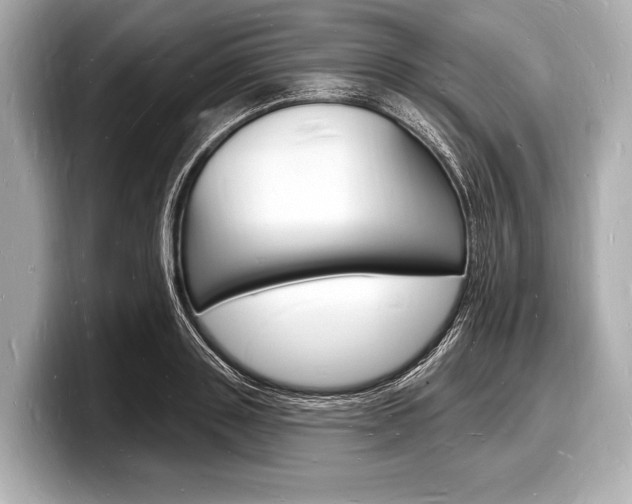 X0000098230843200804241200