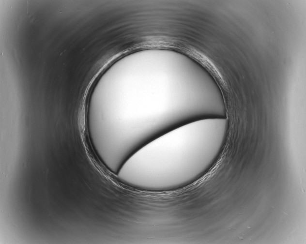 X0000098230844200804241200