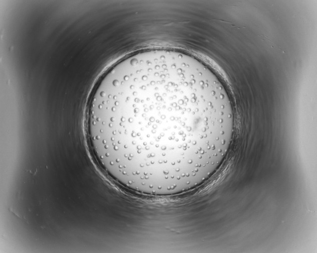 X0000098230847200804241200