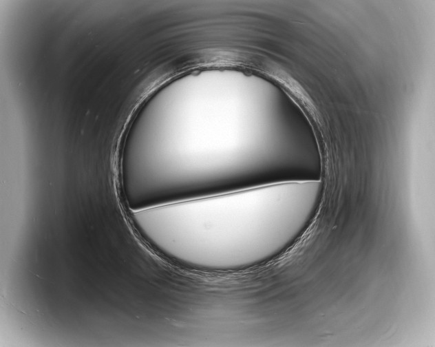 X0000098230850200804241200