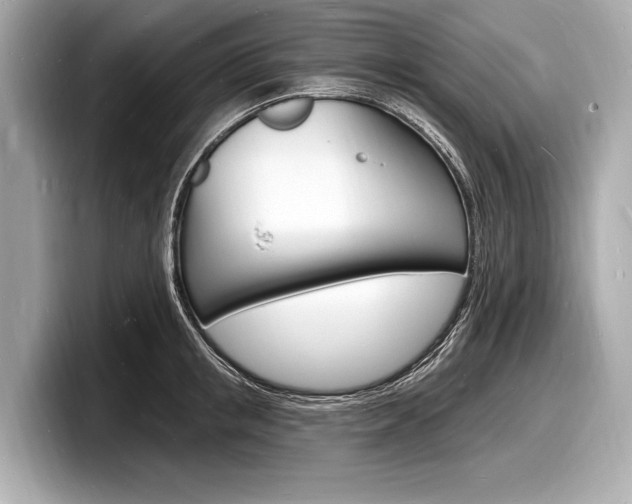 X0000098230853200804241200