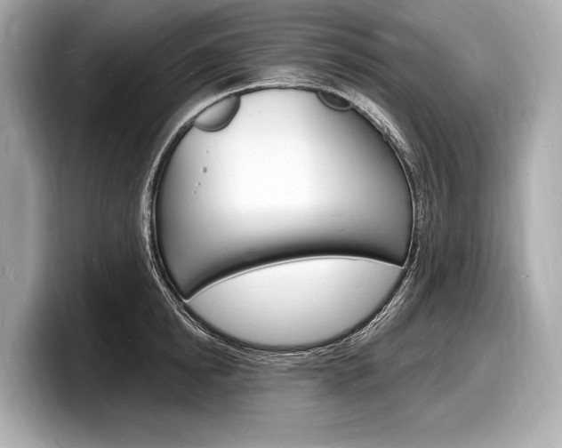 X0000098230854200804241200