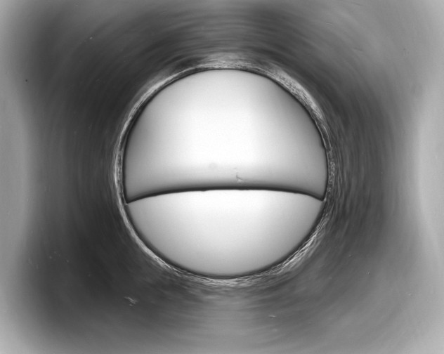 X0000098230855200804241200