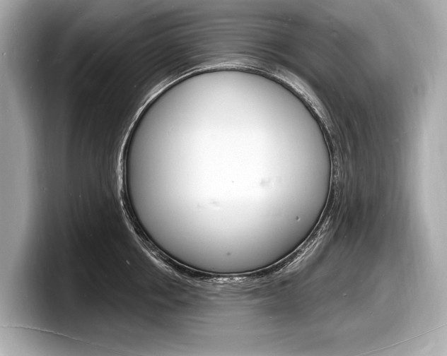 X0000098230858200804241200