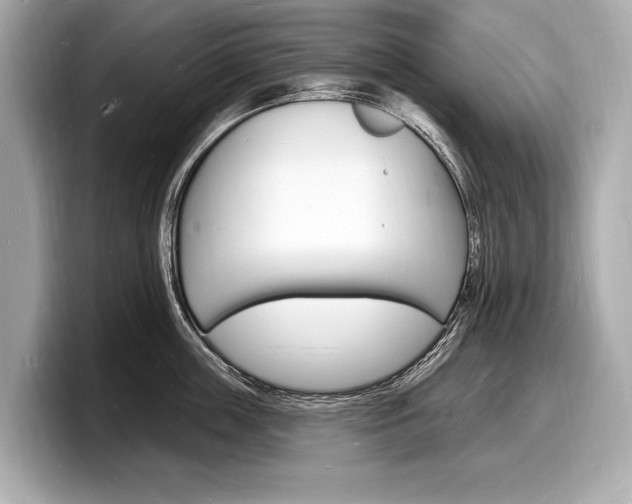 X0000098230859200804241200