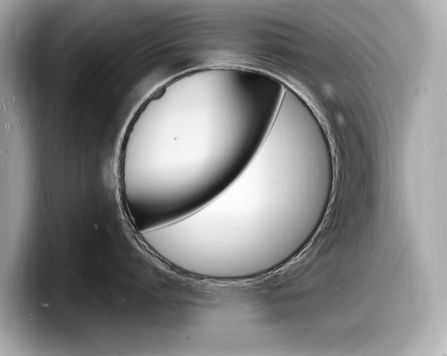X0000098230864200804241200