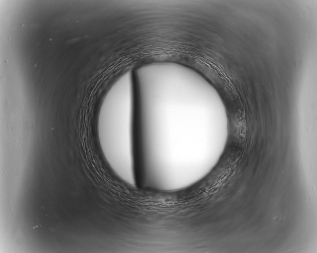 X0000098230865200804241159
