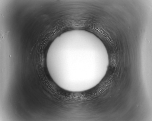 X0000098230866200804241159