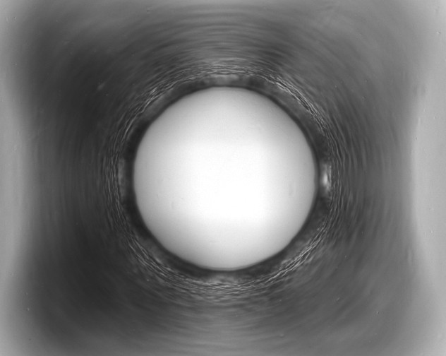 X0000098230867200804241159