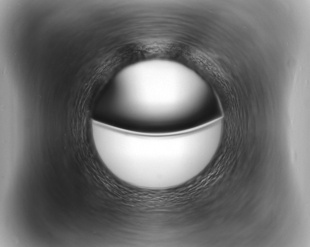 X0000098230868200804241159