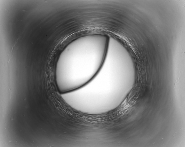 X0000098230871200804241159