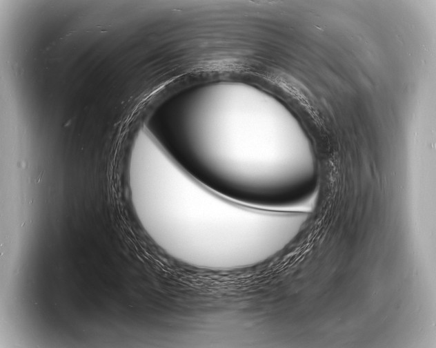 X0000098230872200804241159