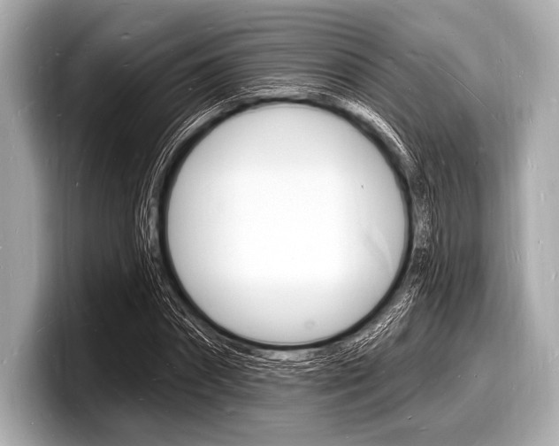 X0000098230874200804241159