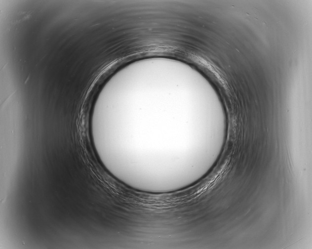 X0000098230875200804241159