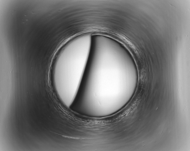 X0000098230877200804241159