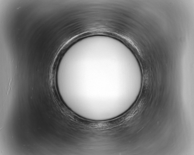 X0000098230879200804241159