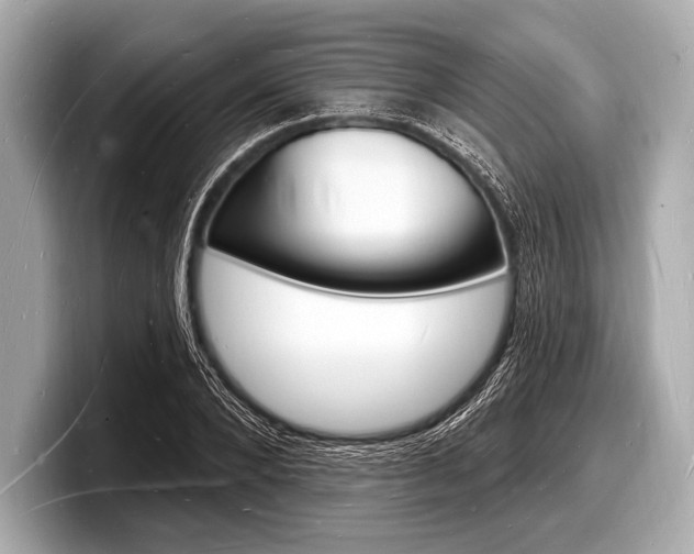 X0000098230880200804241159