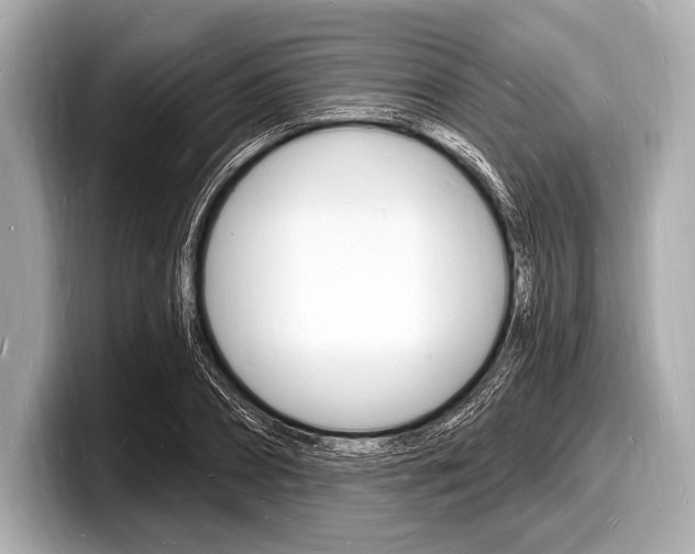 X0000098230882200804241159