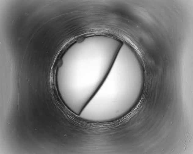 X0000098230883200804241159