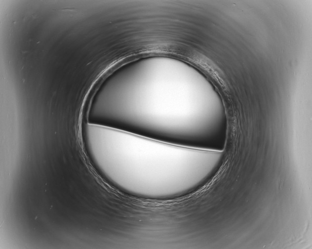 X0000098230884200804241159