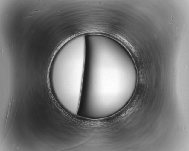 X0000098230885200804241159
