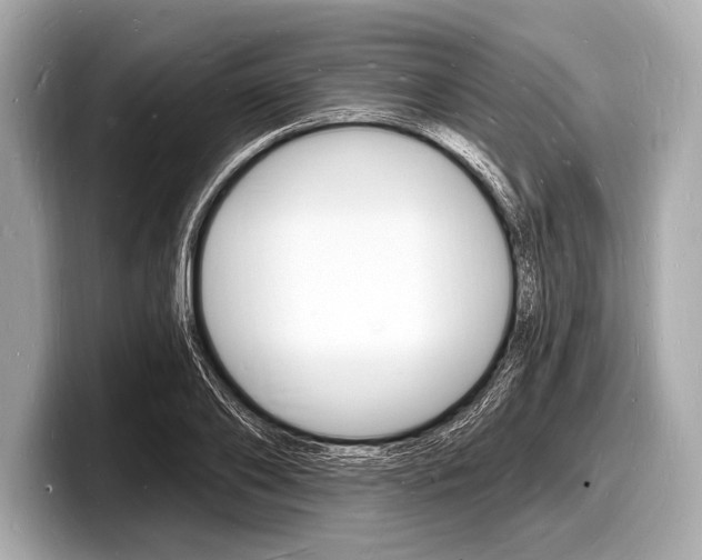 X0000098230886200804241159